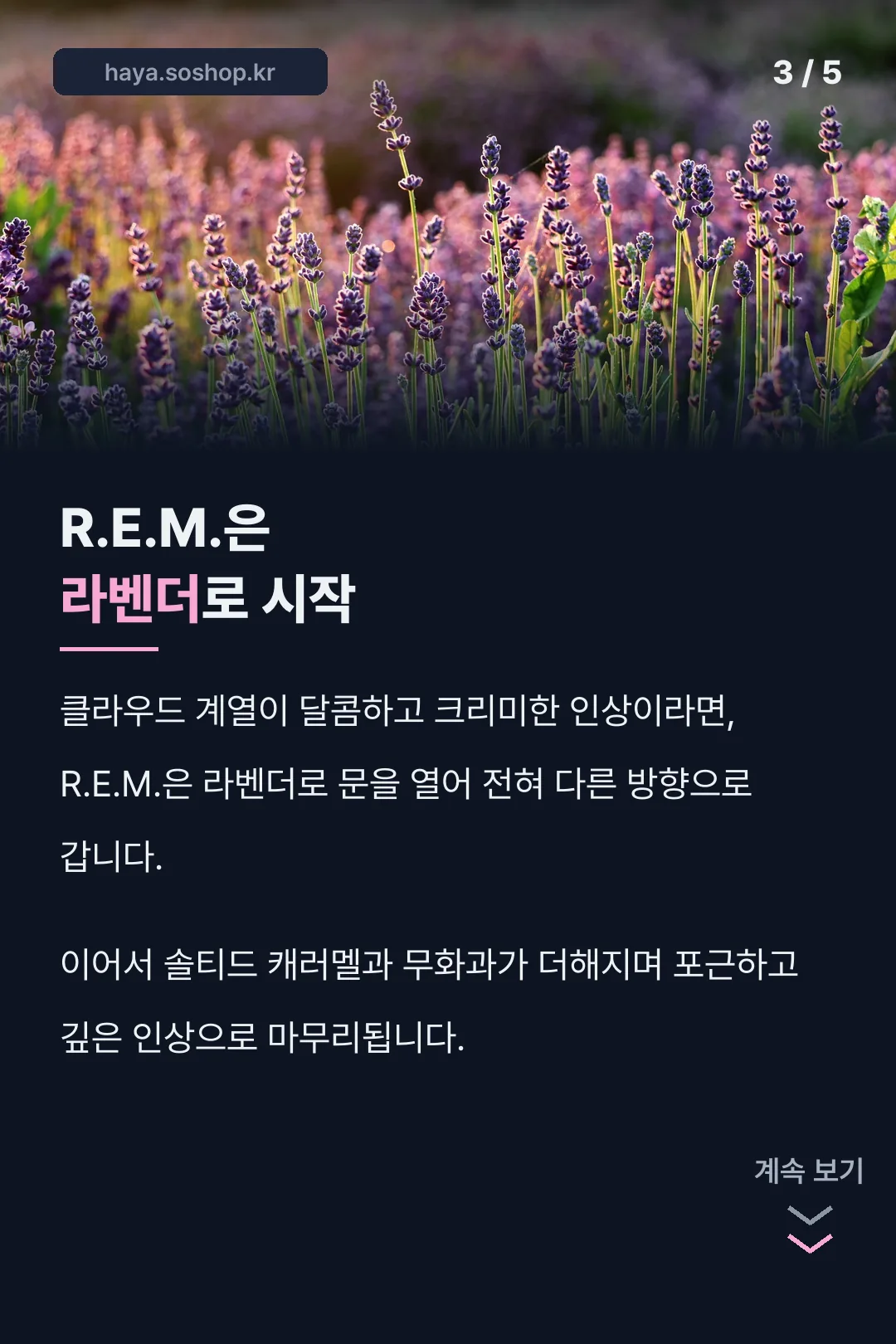 R.E.M.은 라벤더로 시작