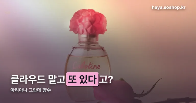 아리아나 그란데 향수 정리 썸네일