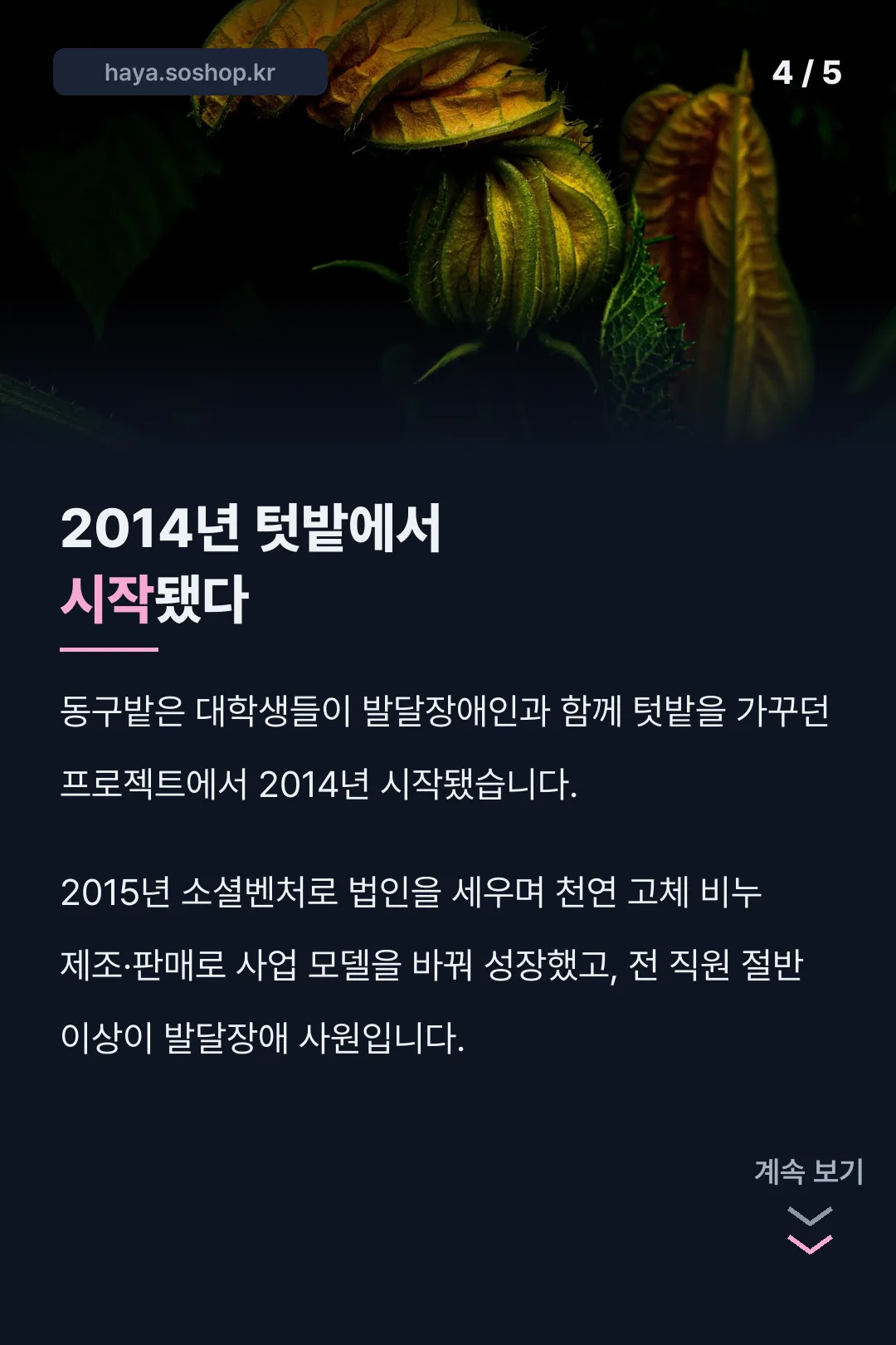 2014년 텃밭에서 시작된 브랜드