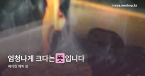 버거킹 와퍼 뜻 정리 썸네일