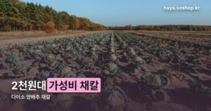 다이소 양배추 채칼 정리 썸네일