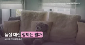 이마트 리락쿠마 쿠션 정리 썸네일