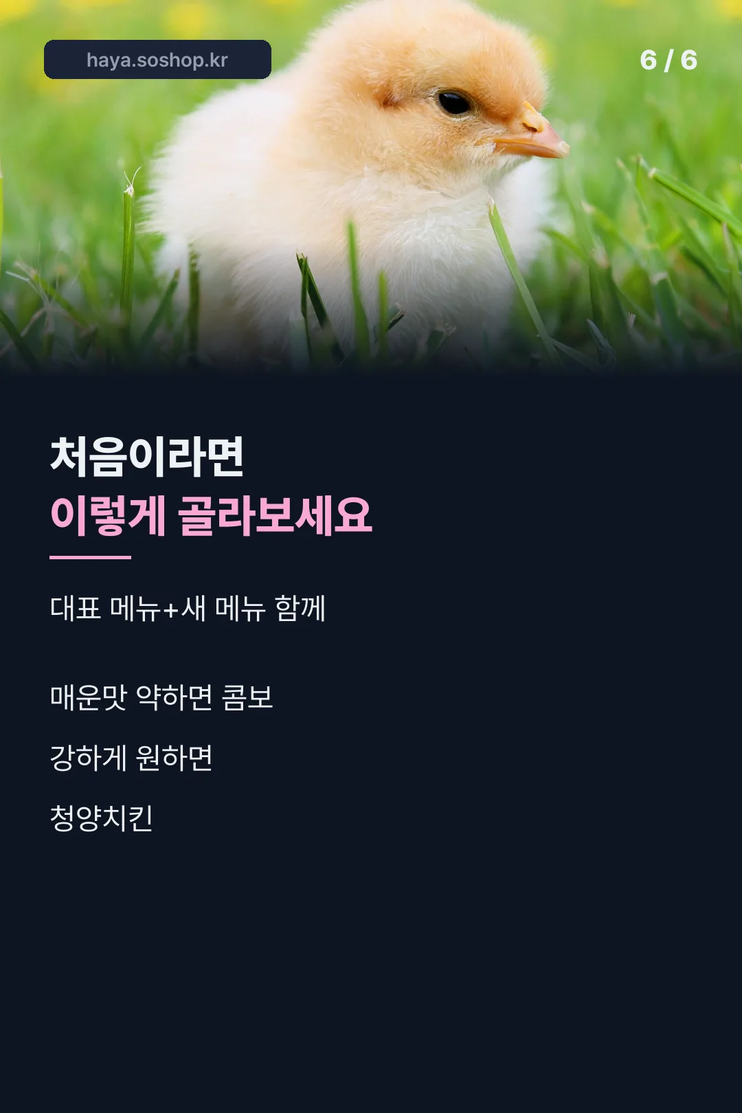 처음 주문 팁
