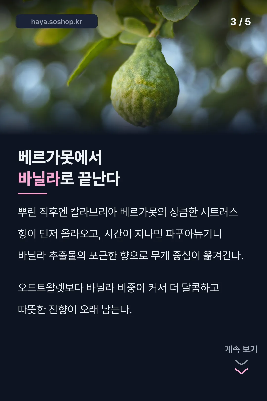 베르가못에서 바닐라로