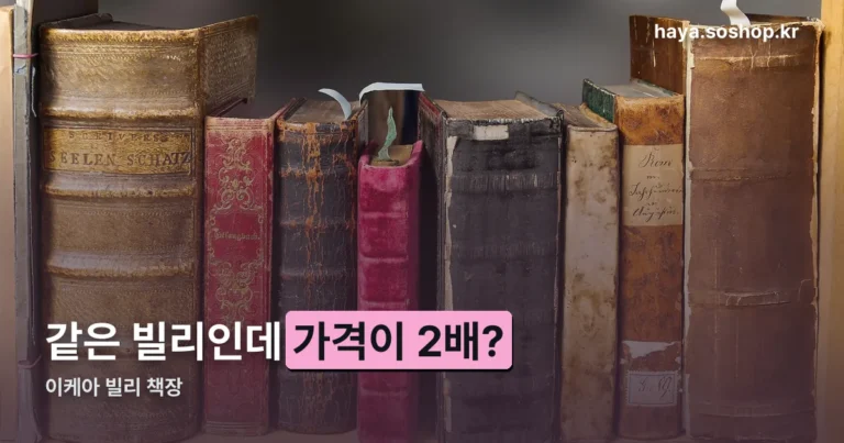 이케아 빌리 책장 정리 썸네일