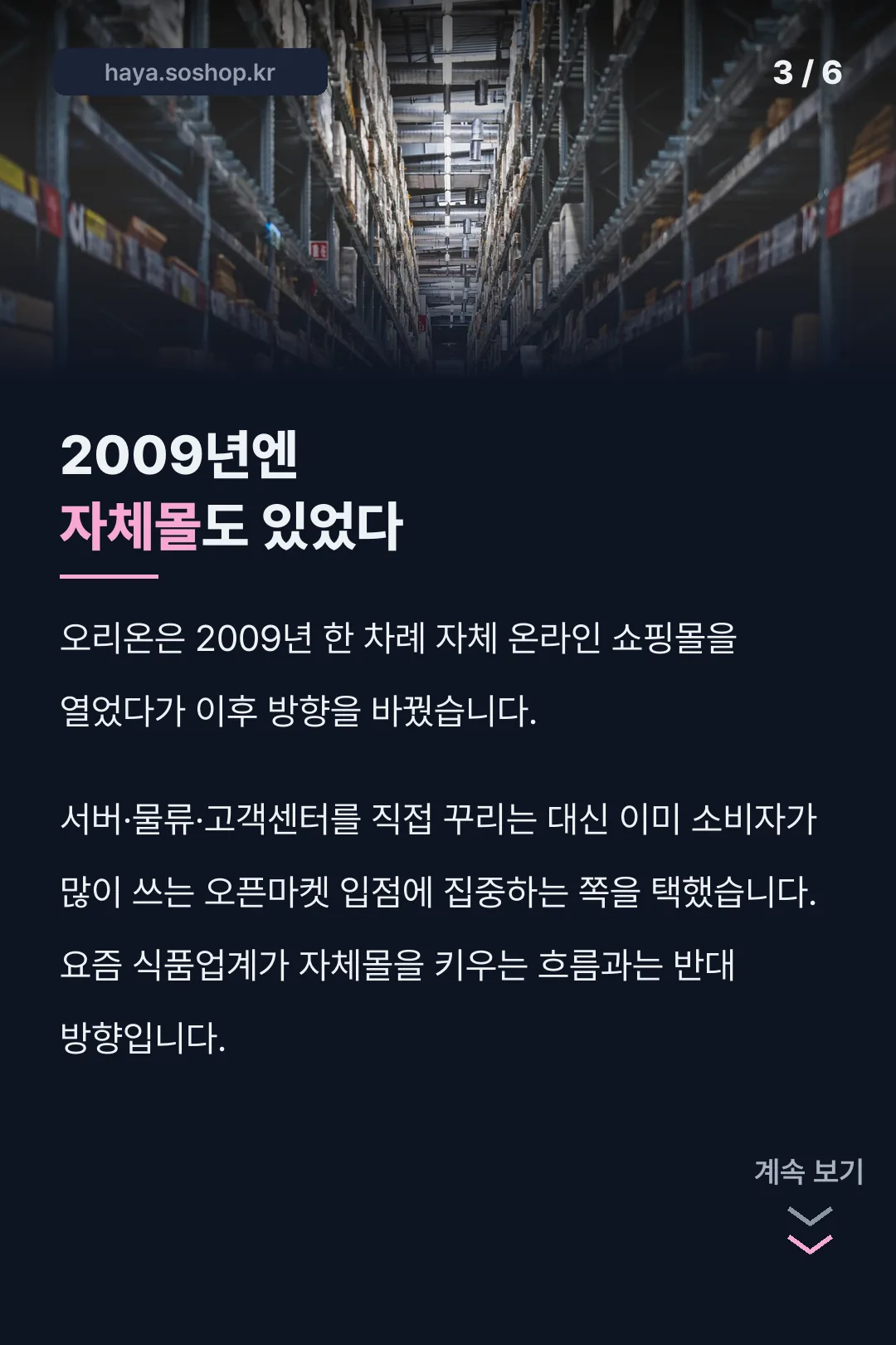 2009년 자체몰 시도